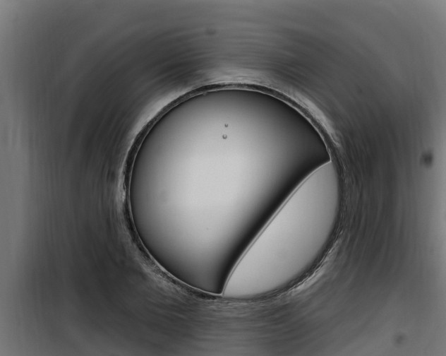 X0000100780885200806191014