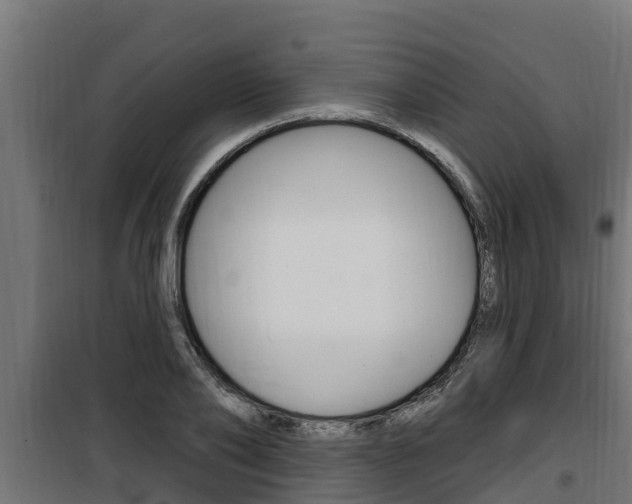 X0000100780886200806191014