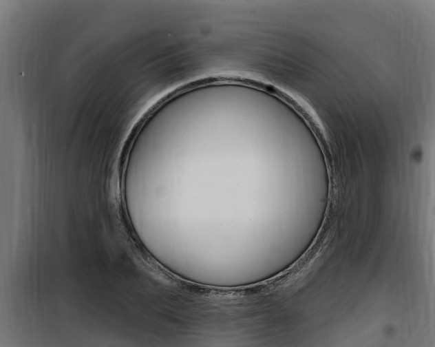 X0000100780887200806191014