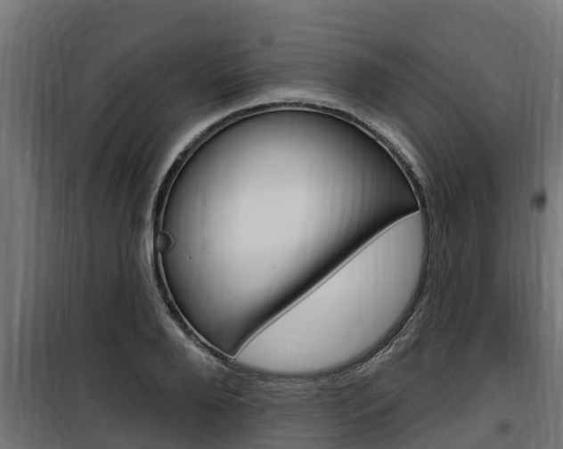 X0000100780888200806191014