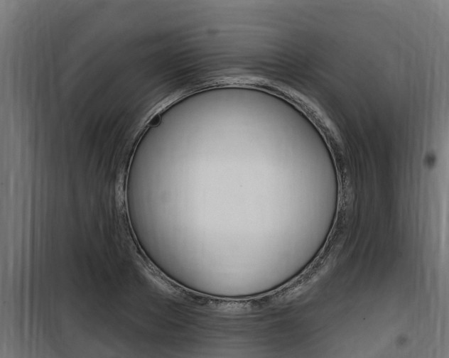 X0000100780889200806191014