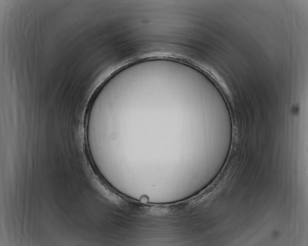 X0000100780890200806191014