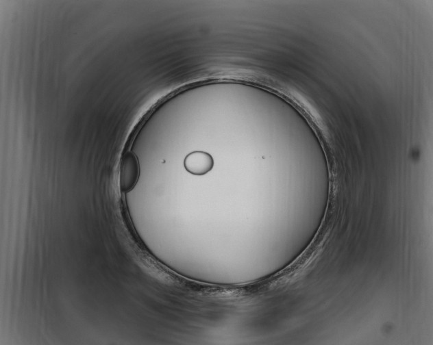 X0000100780891200806191014