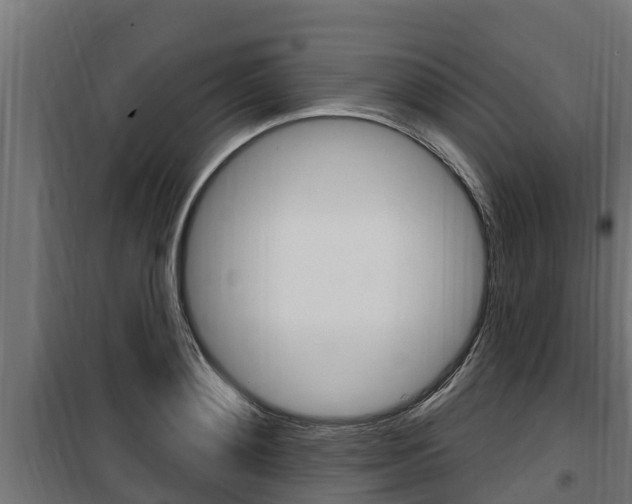 X0000100780892200806191014