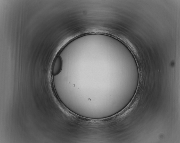 X0000100780893200806191014