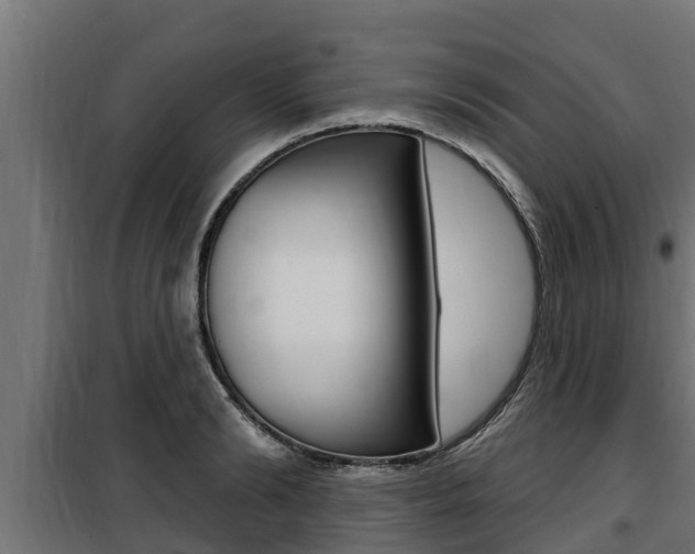 X0000100780894200806191014