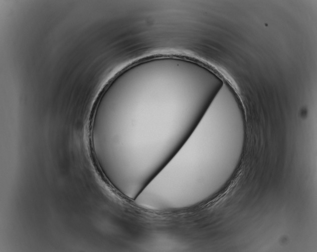 X0000100780895200806191014