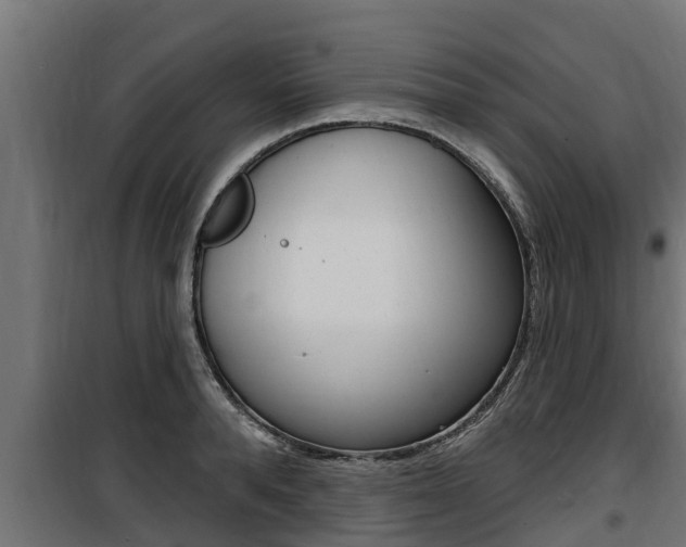 X0000100780896200806191014