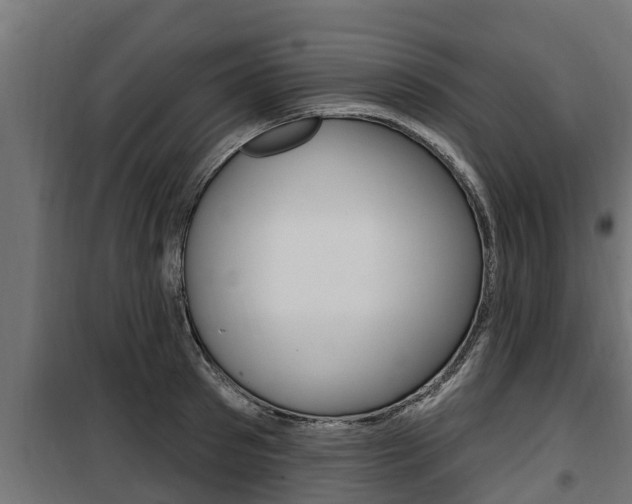 X0000100780897200806191014