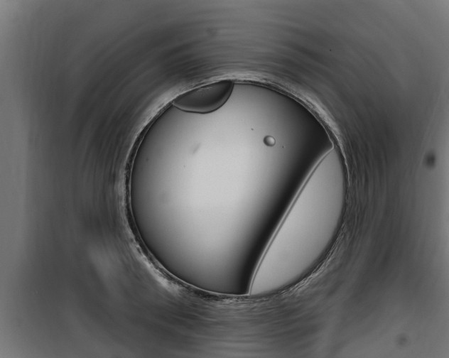 X0000100780898200806191014