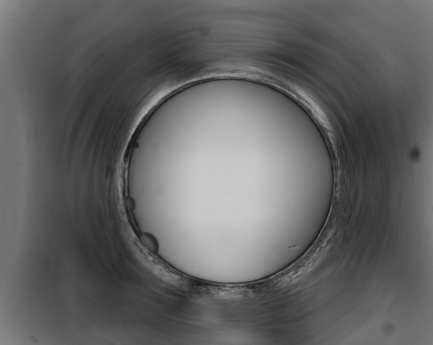 X0000100780899200806191014