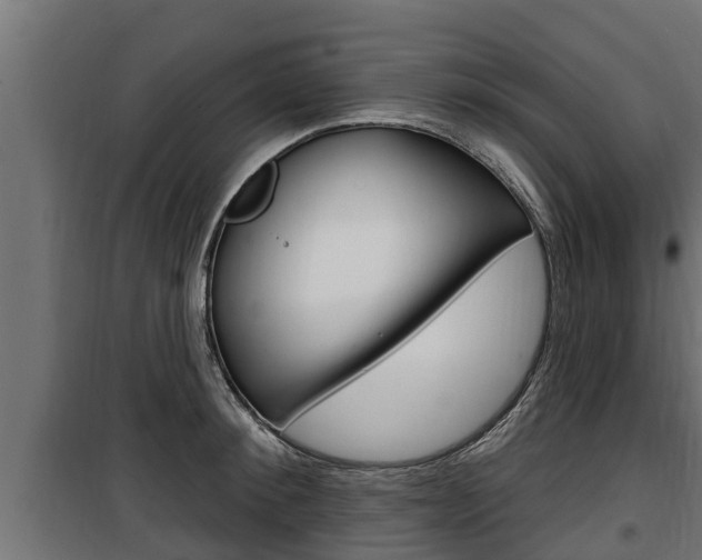 X0000100780900200806191014