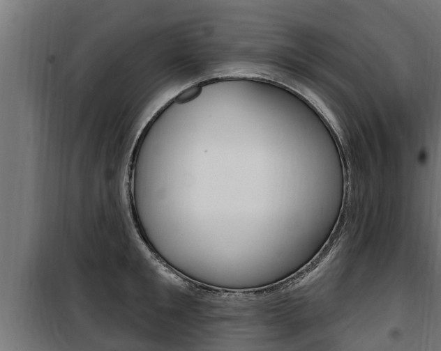 X0000100780901200806191014