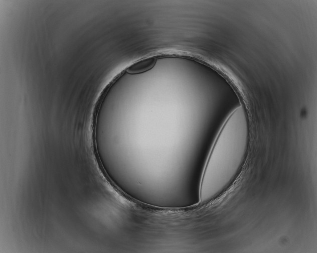 X0000100780902200806191014