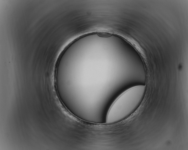 X0000100780904200806191014