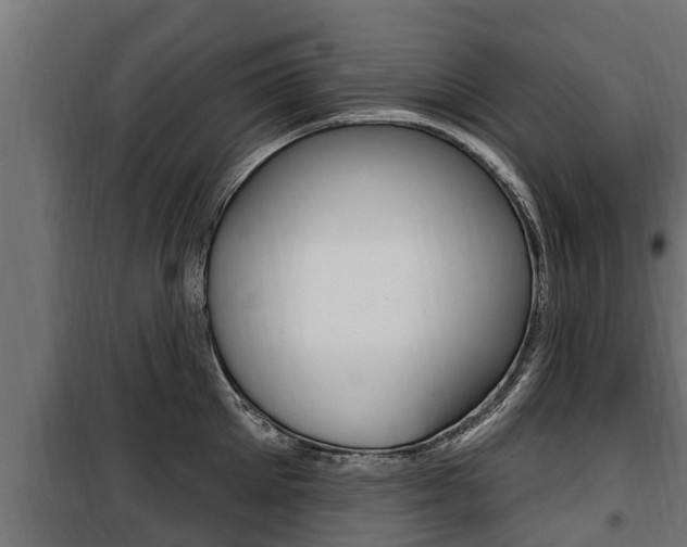 X0000100780905200806191014