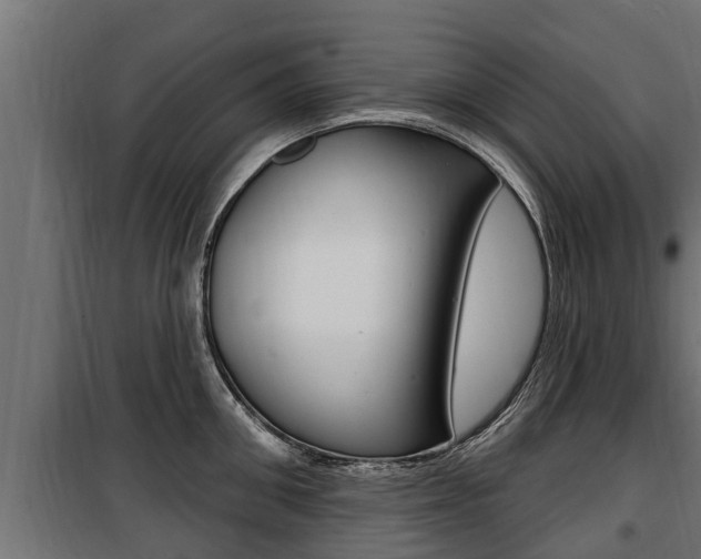 X0000100780906200806191014