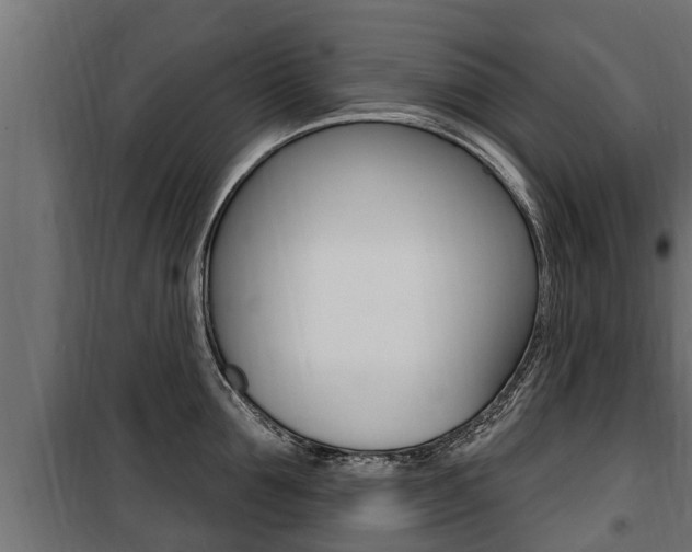 X0000100780907200806191013