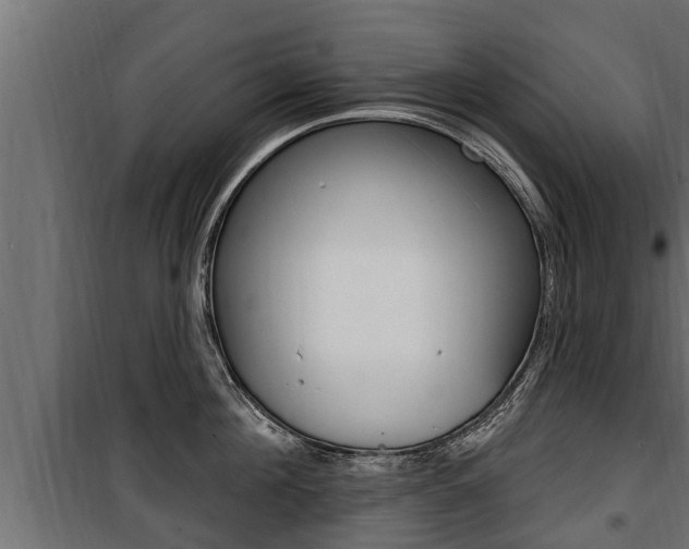 X0000100780908200806191013