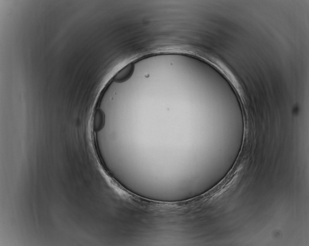 X0000100780909200806191013