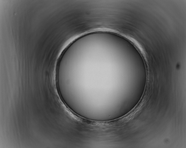 X0000100780910200806191013