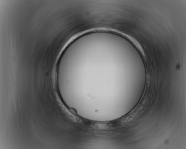 X0000100780911200806191013