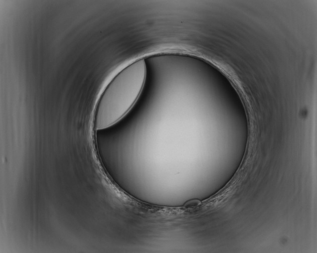 X0000100780912200806191013