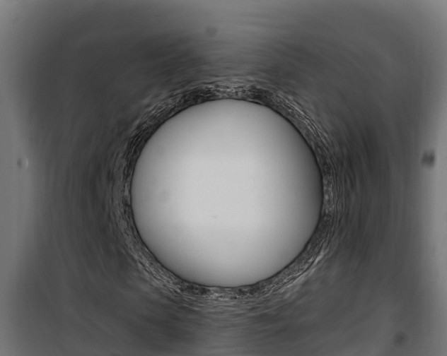 X0000100780913200806191013