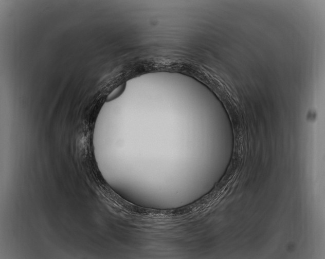 X0000100780914200806191013