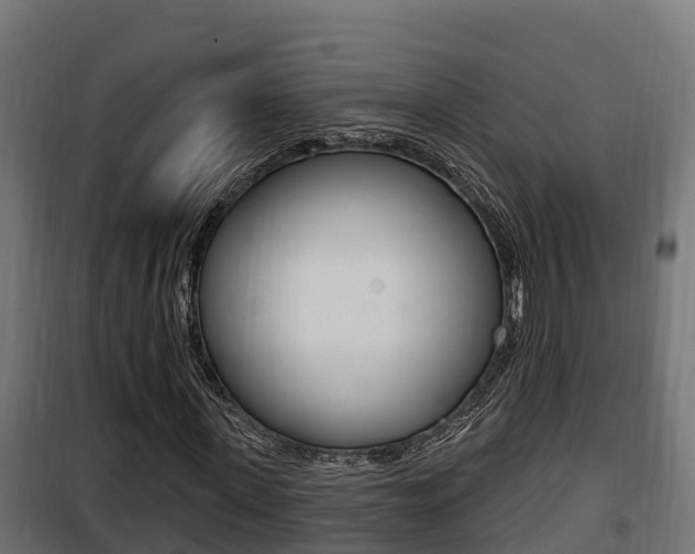 X0000100780915200806191013