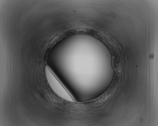 X0000100780916200806191013