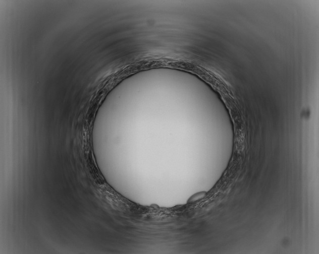 X0000100780917200806191013