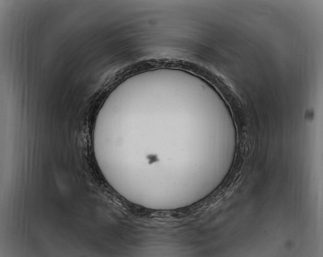 X0000100780918200806191013