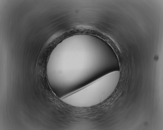 X0000100780919200806191013