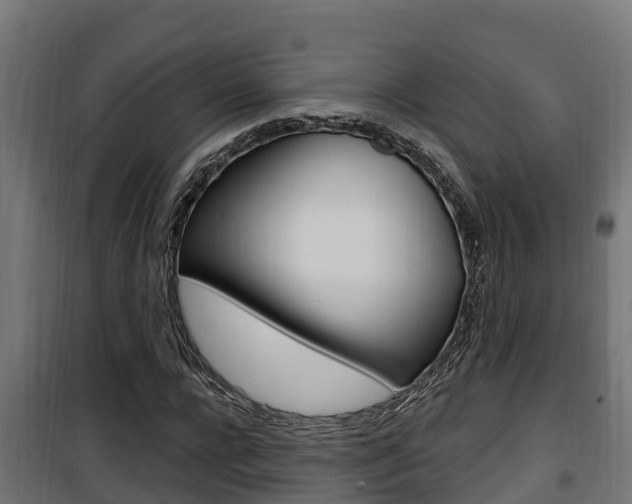 X0000100780920200806191013