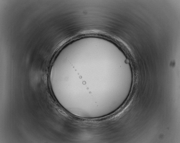 X0000100780921200806191013