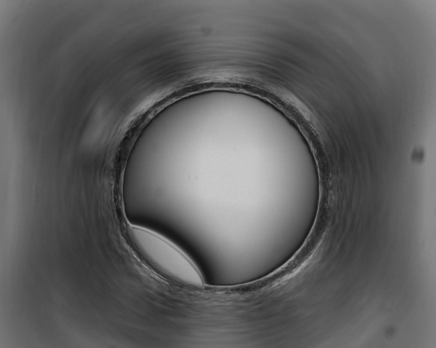 X0000100780922200806191013