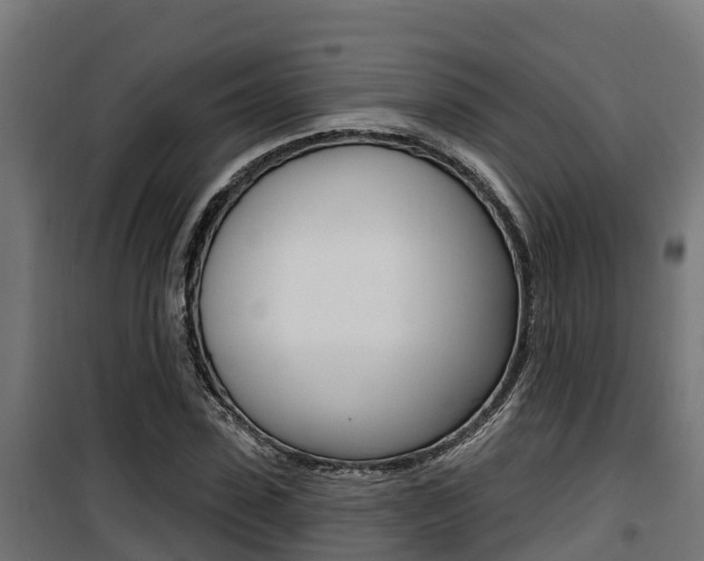 X0000100780923200806191013