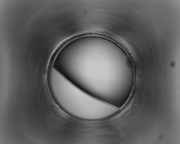 X0000100780924200806191013