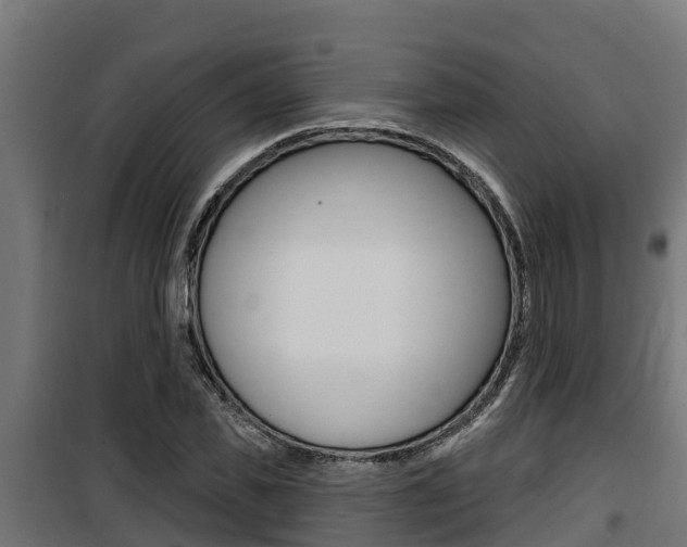 X0000100780925200806191013