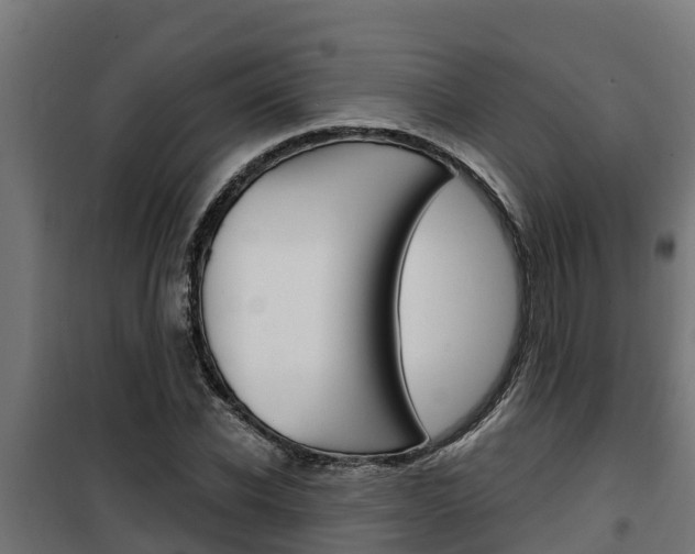 X0000100780926200806191013