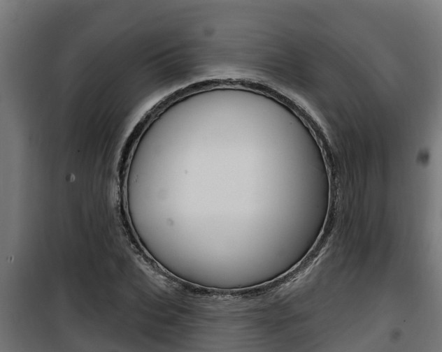 X0000100780927200806191013