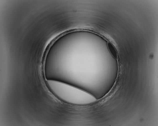 X0000100780928200806191013