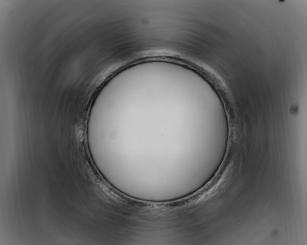 X0000100780929200806191013