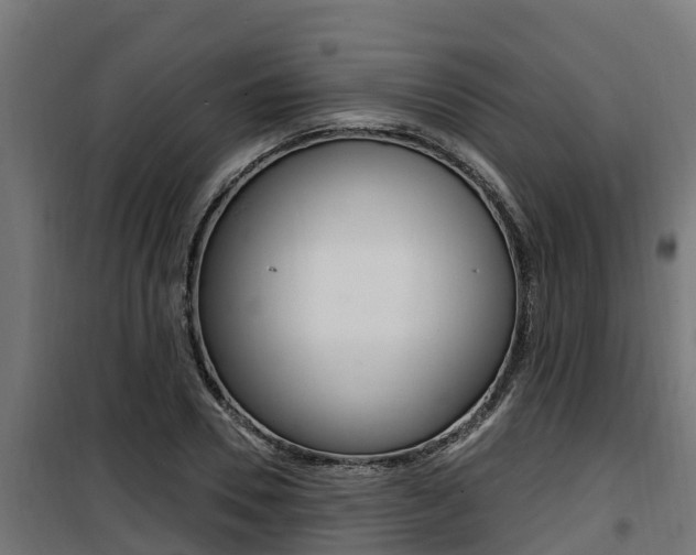 X0000100780930200806191013