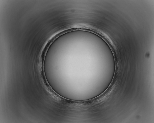 X0000100780931200806191013