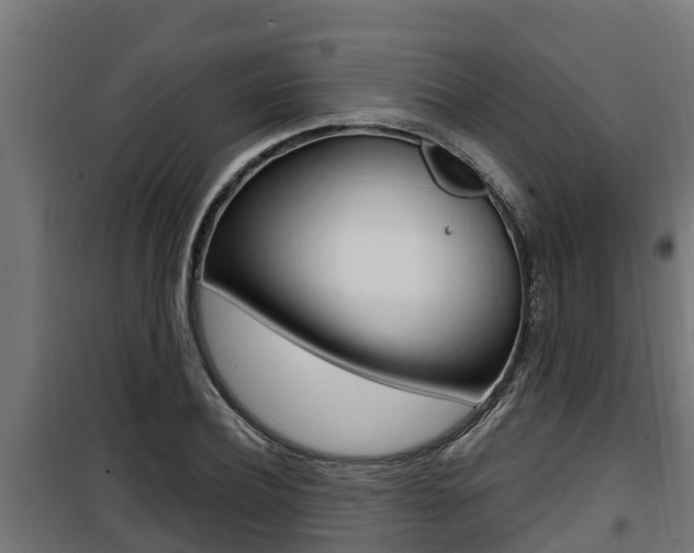 X0000100780932200806191013