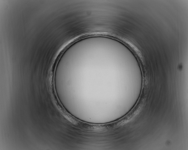 X0000100780933200806191013