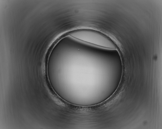 X0000100780934200806191013