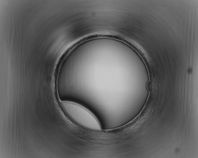 X0000100780935200806191013